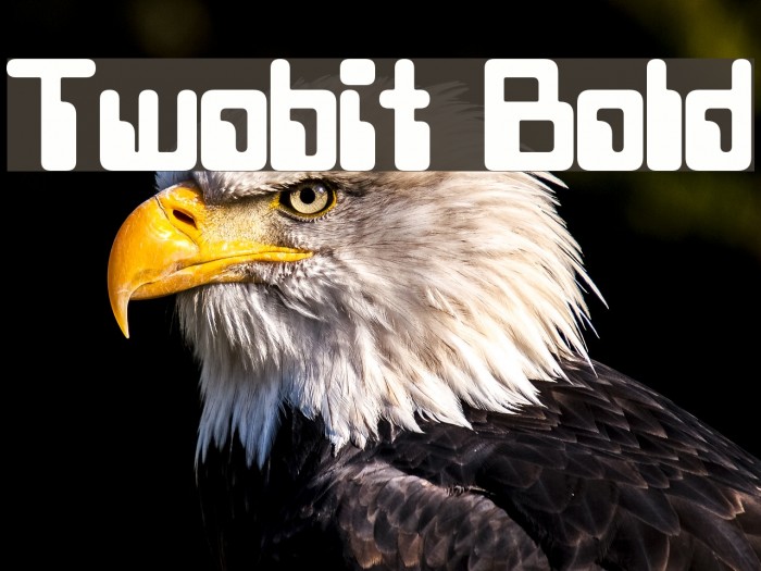 Twobit Bold Schriftart examples