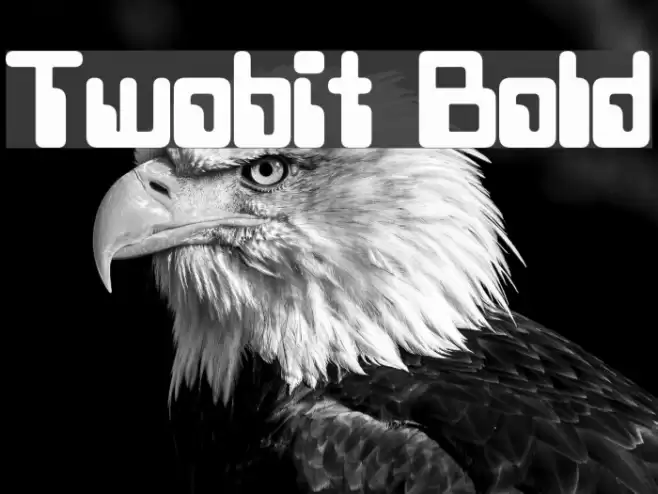Twobit Bold Font examples
