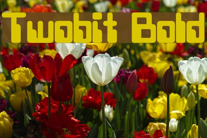 Twobit Bold Schriftart examples