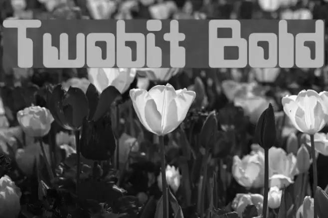 Twobit Bold Font examples