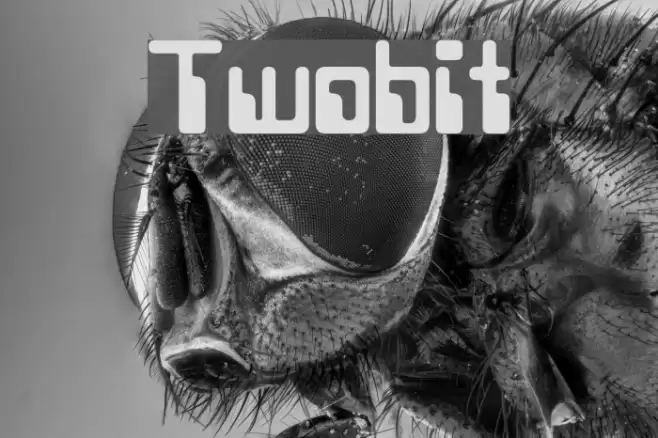 Twobit Font examples