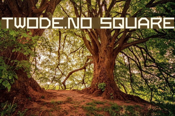 Twode.no Square Font examples