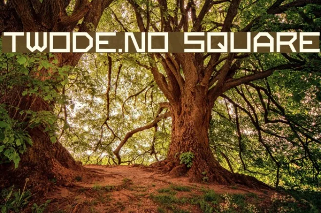 Twode.no Square Example 3