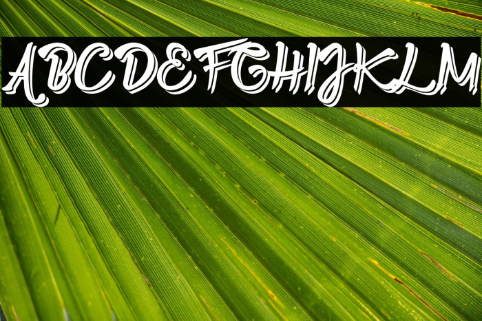 Twopath Shadow Font examples