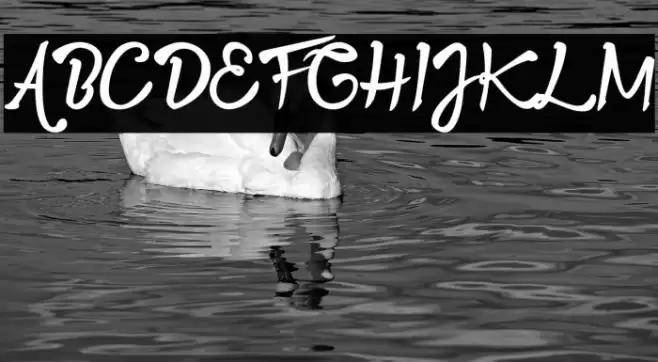 Twopath Font examples