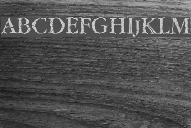 TwyliteZone-Book Polices examples