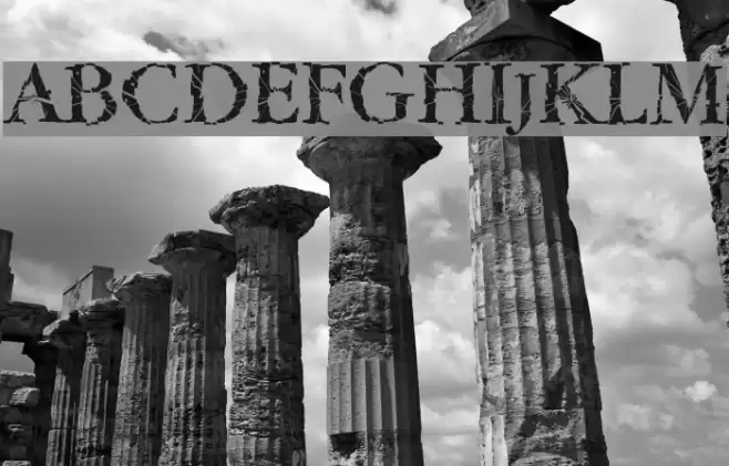 TwyliteZone-Book Polices examples