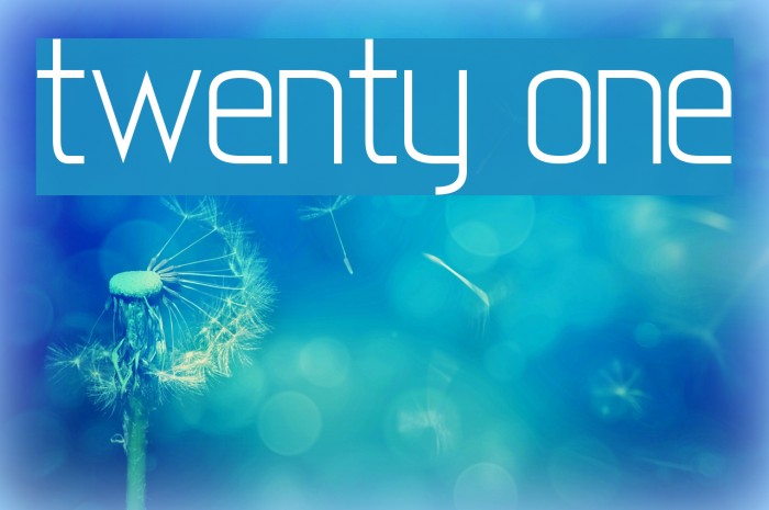 twenty-one Font examples