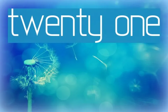 twenty-one Example 2