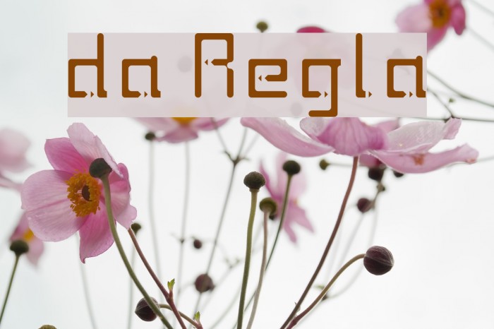 twodays Regular Font examples