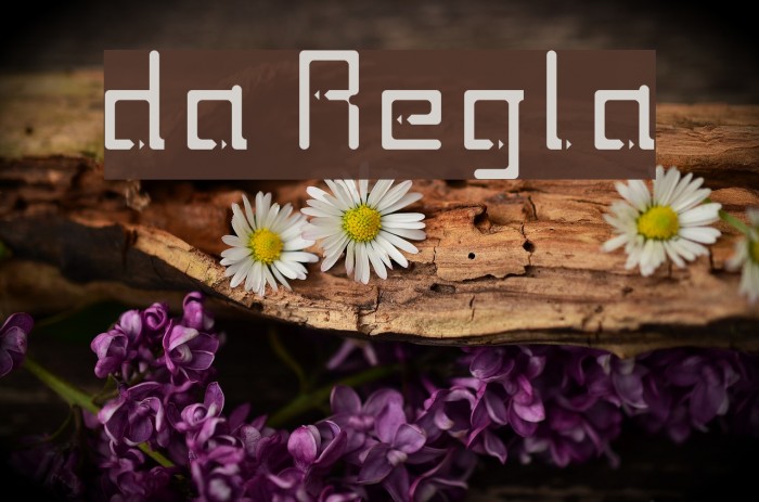 twodays Regular Font examples