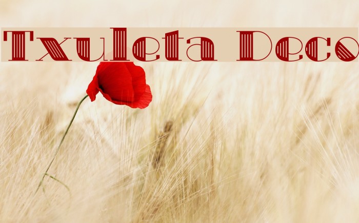 Txuleta Deco Example 1