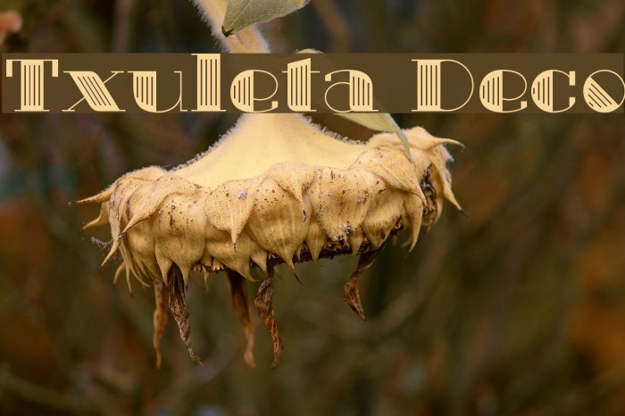 Txuleta Deco Example 3