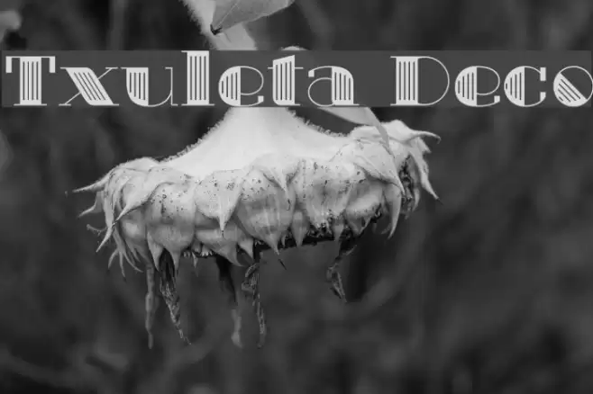 Txuleta Deco Font examples