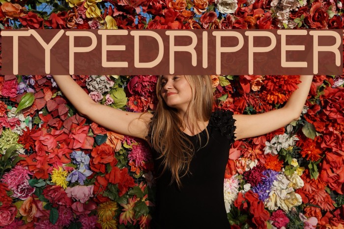 TYPEDRIPPER Font examples