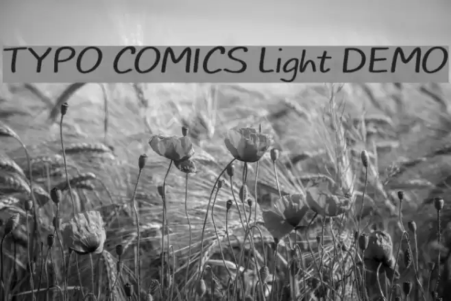TYPO COMICS Light DEMO examples
