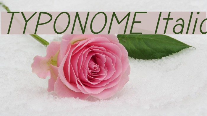 TYPONOME Italic Font examples