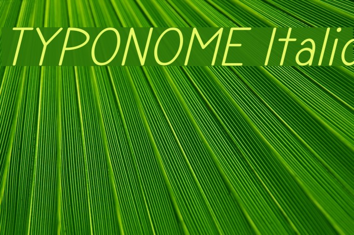 TYPONOME Italic Font examples
