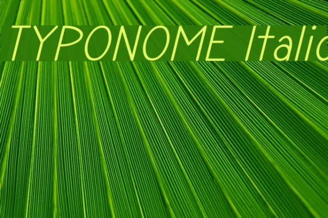 TYPONOME Italic Example 2