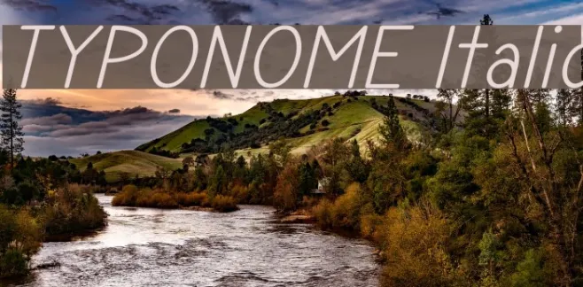 TYPONOME Italic Example 3