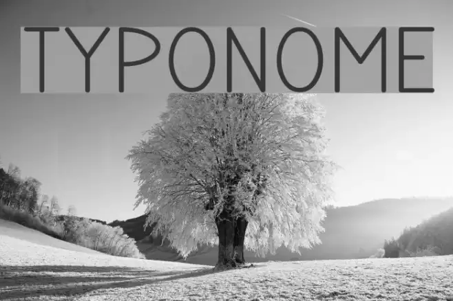 TYPONOME Font examples