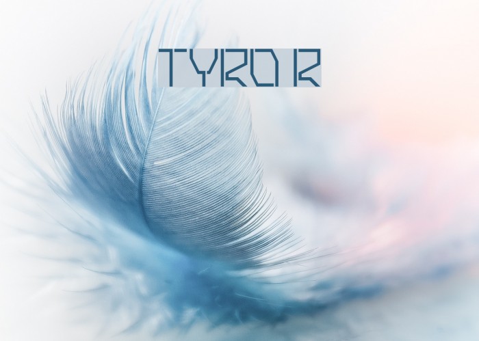 TYRO Regular Font examples