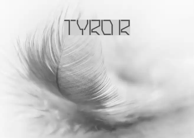 TYRO Regular フォント examples