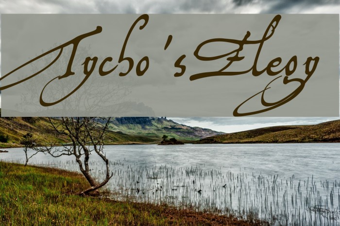 Tycho'sElegy Example 2