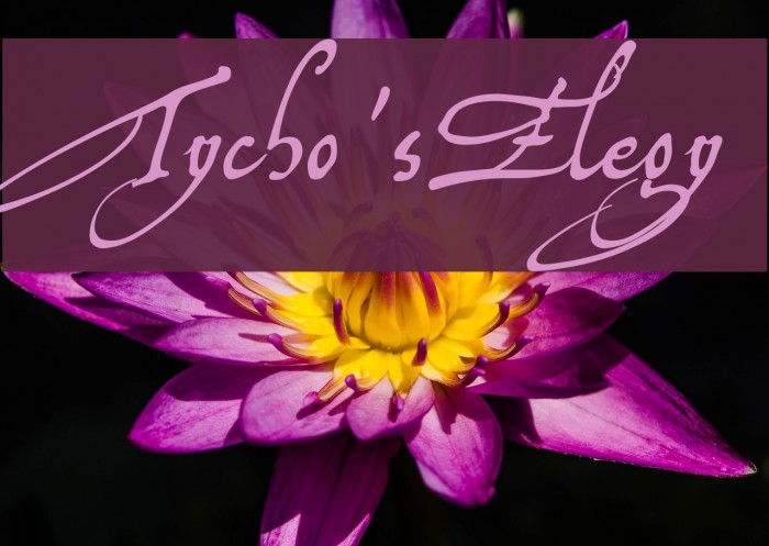 Tycho'sElegy Example 3