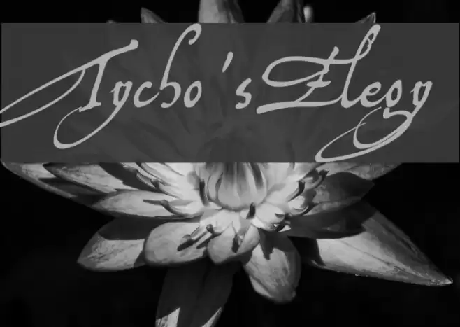 Tycho'sElegy Font examples