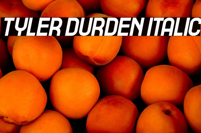 Tyler Durden Italic Example 2