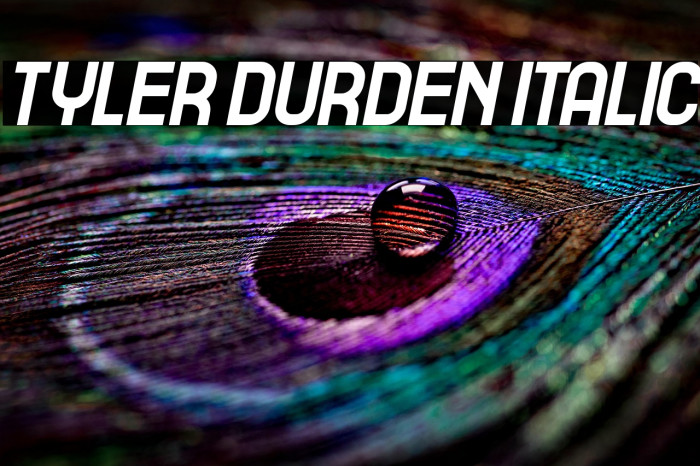 Tyler Durden Italic Example 3