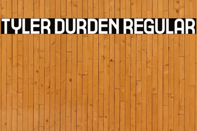 Tyler Durden Regular Example 1