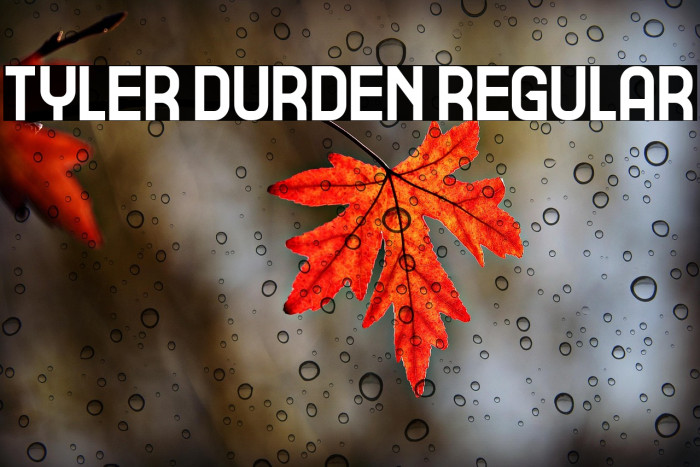 Tyler Durden Regular Example 2