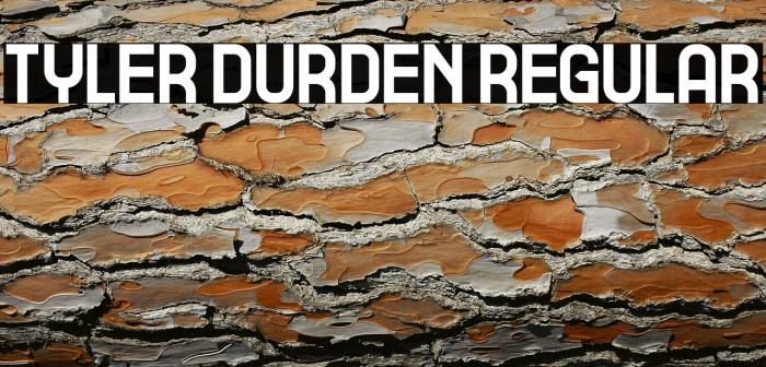 Tyler Durden Regular Example 3