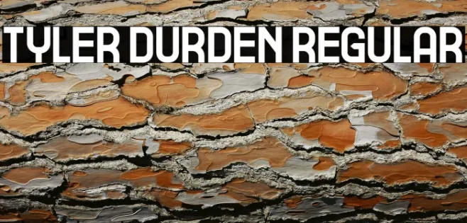 Tyler Durden Regular Example 3