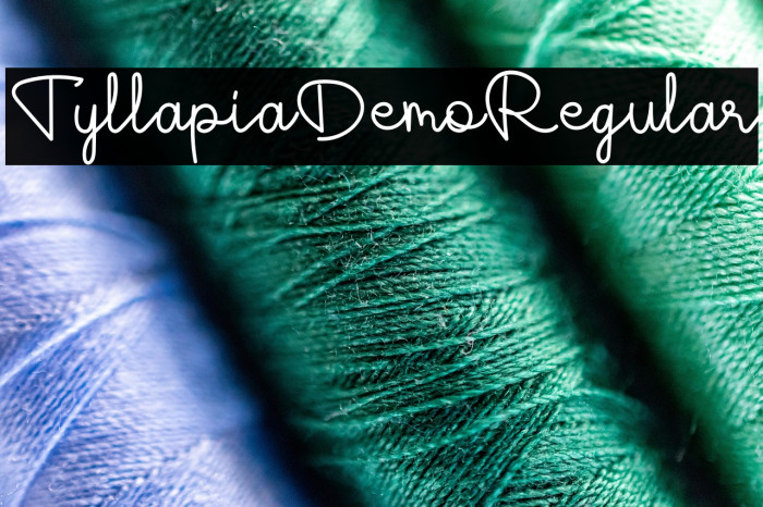 TyllapiaDemoRegular Example 3