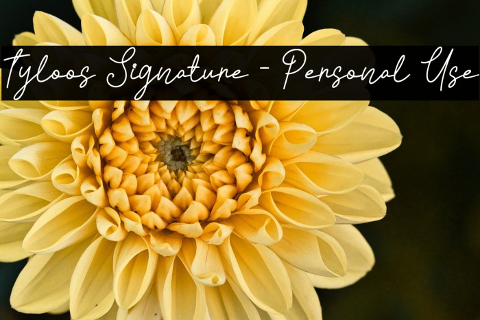 Tyloos Signature - Personal Use Example 1