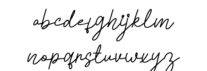 Tyloos Signature - Personal Use Font LOWERCASE