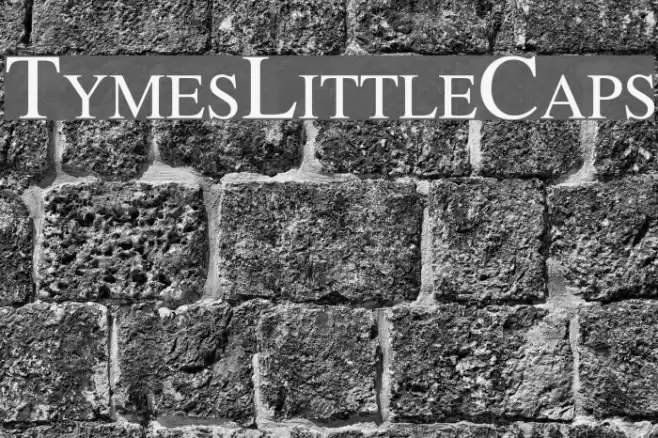 TymesLittleCaps Font examples