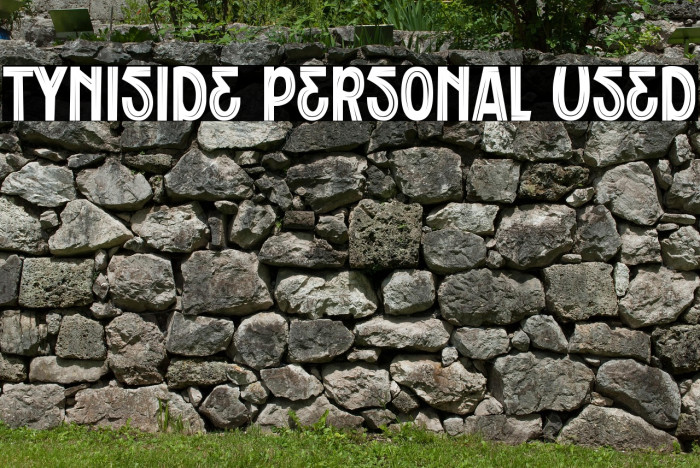 Tyniside Personal Used Example 1