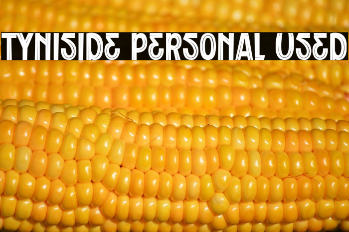 Tyniside Personal Used Example 2