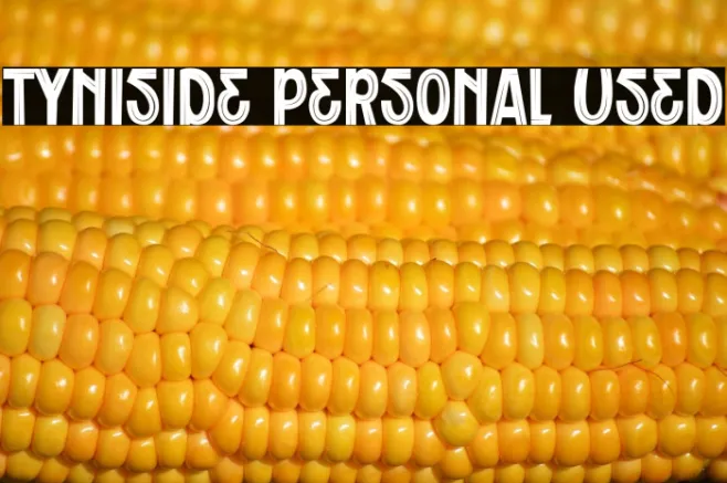 Tyniside Personal Used Example 2