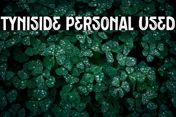 Tyniside Personal Used Example 3