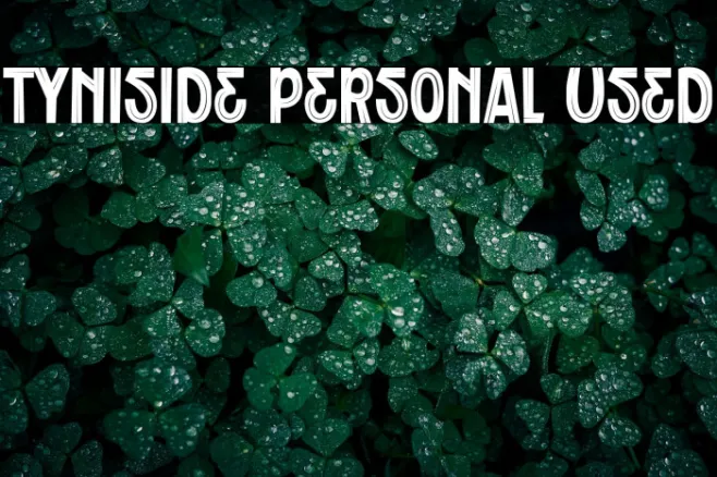 Tyniside Personal Used Example 3