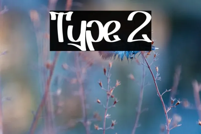 Type 2 Example 2