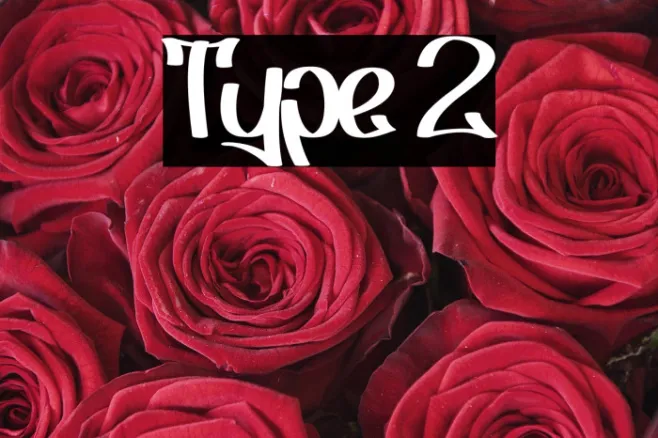Type 2 Example 3