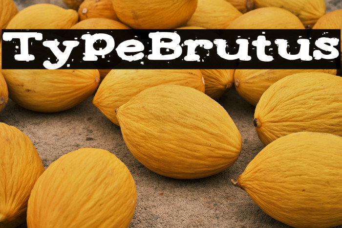 Type Brutus Example 1