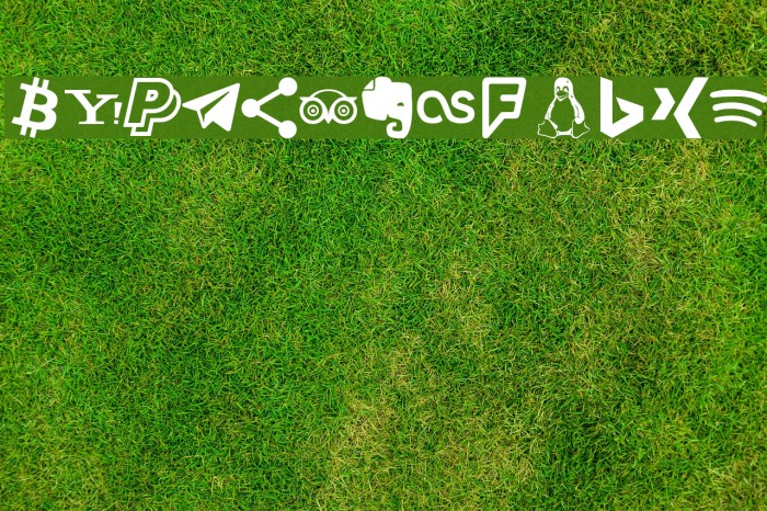 Type Icons Caratteri examples