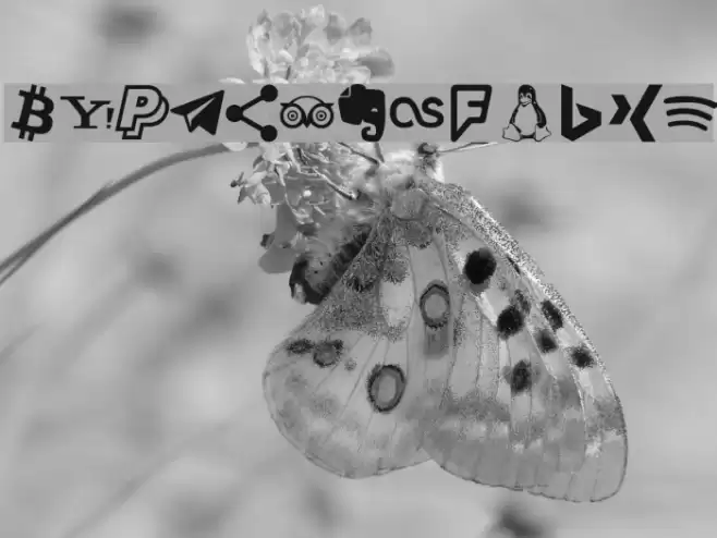 Type Icons Font examples